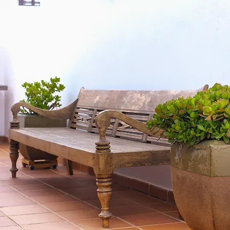 Casa Knala-tranquila Y Luminosa Holiday home San Bartolome (Las Palmas)